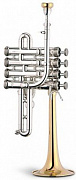 Stomvi Master Titanium 5783