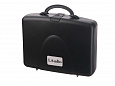 LAudio PRO1-P