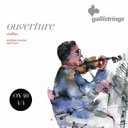 GALLI STRINGS OV40