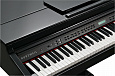 KURZWEIL KAG100 EP