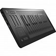 ROLI RISE 25