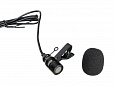 LAudio C5