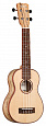24S Spruce