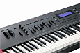 Kurzweil Forte SE