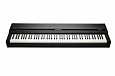 Kurzweil MPS110