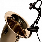 Audix ADX20iP