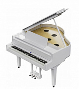 Roland GP PW