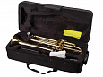 Conductor FLT-TR-3