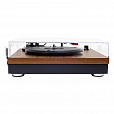 Alive Audio AA-HAR-01