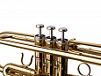 Conductor FLT-TR-3