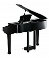 Kurzweil KAG100 BP
