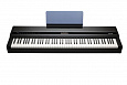 Kurzweil MPS110