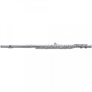 ROY BENSON FL-602E