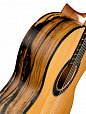 ALHAMBRA 8.891V Classical Conservatory 6 White Ebony