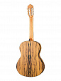 ALHAMBRA 8.891V Classical Conservatory 6 White Ebony