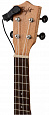 FLIGHT FPICK-1